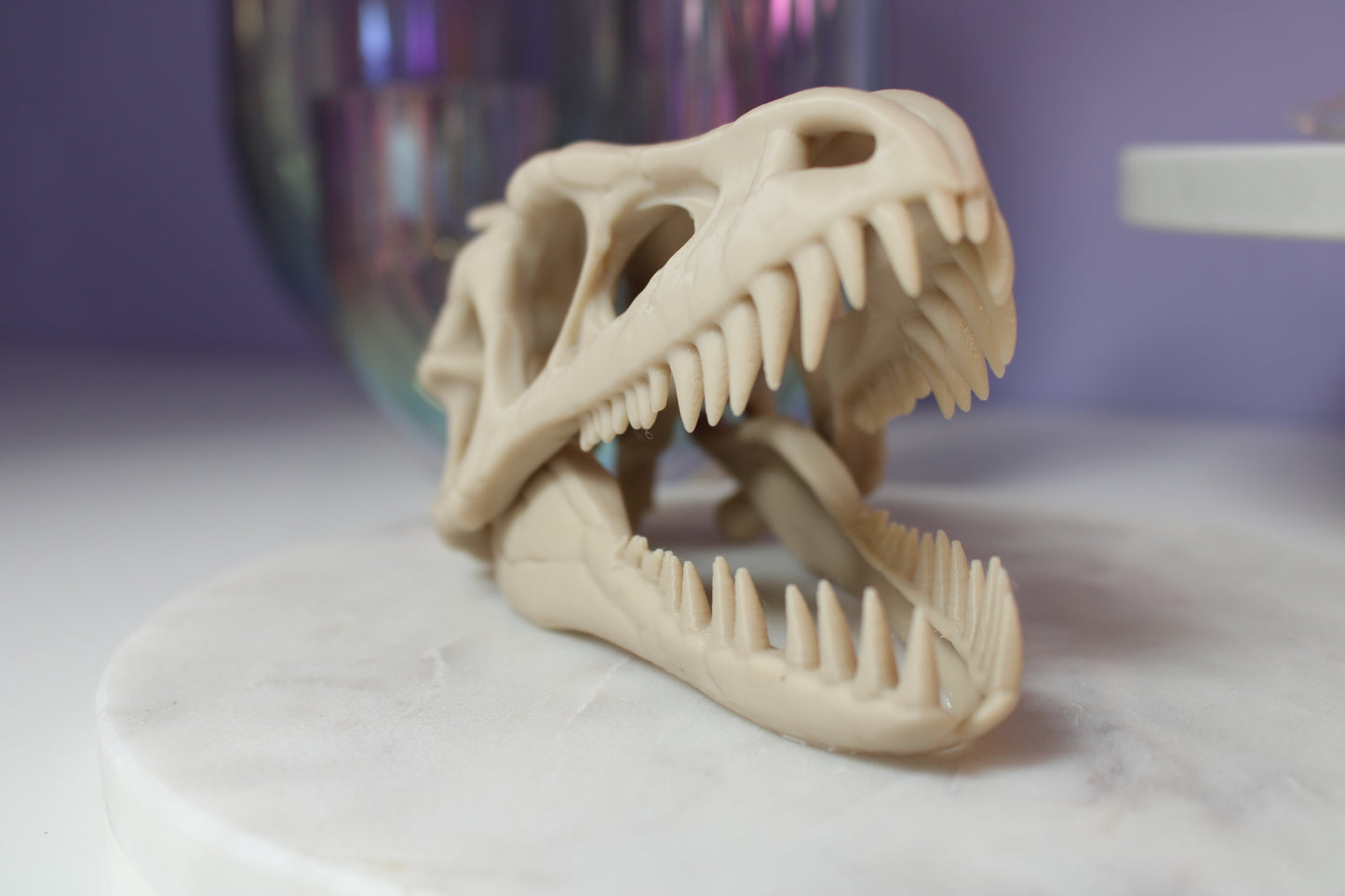 Dinosaurus