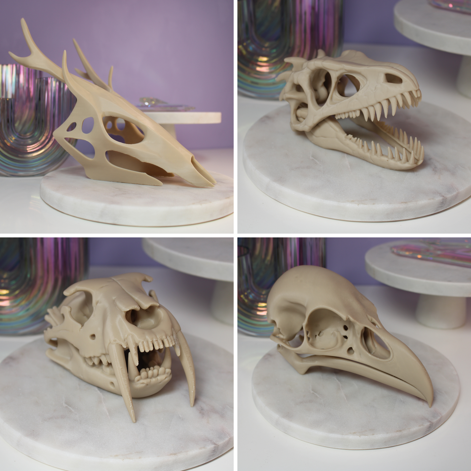 Skulls